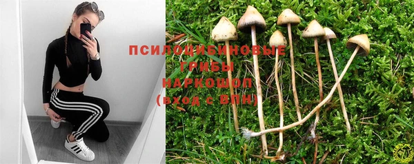 мдпв Нея