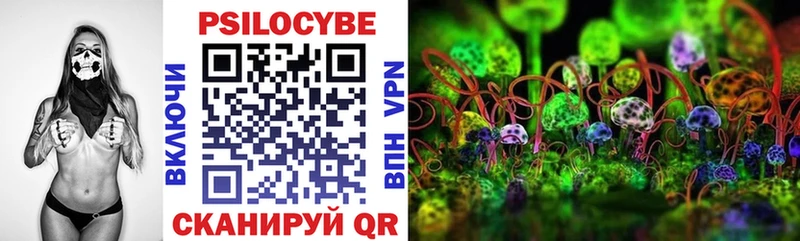 Псилоцибиновые грибы GOLDEN TEACHER  Купить где  Сретенск 